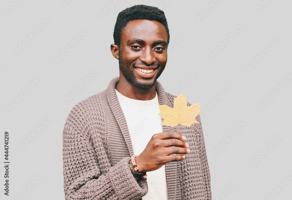 Portrait of happy smiling african man with autumn yellow maple leaves on a gray background Portrait of happy smiling african man with autumn yellow maple leaves on a gray background