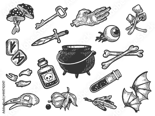 Magical fabulous witch witchcraft ingredients halloween holiday line art sketch engraving vector illustration. T-shirt apparel print design. Scratch board imitation. Black and white hand drawn image.