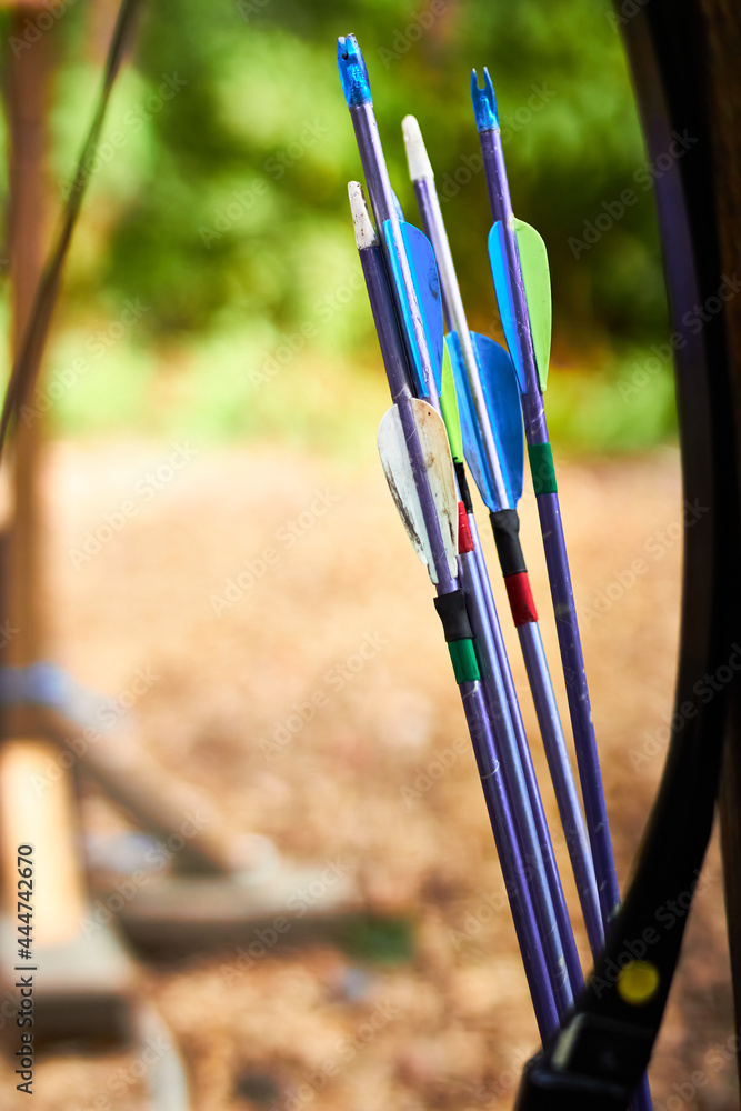 Bow and plastic arrows closeup with blurred trees in the background Bow and plastic arrows closeup with blurred trees in the background