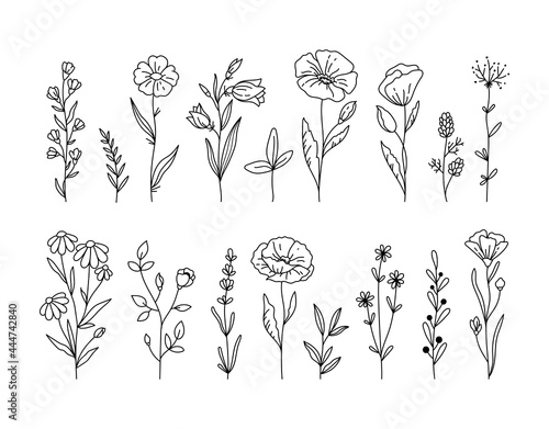 Wildflowers black and white clipart bundle, Poppy flower, daisy, chamomile botanical floral isolated elements, meadow flowers vector