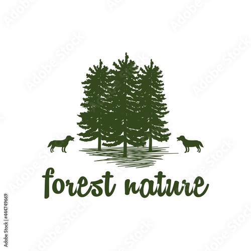 Evergreen, Pines, Spruce, Cedar trees forest nature logo design