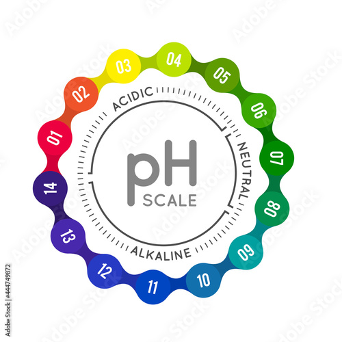 pH meter for measuring acid alkaline balance. Vector infographics in the circle form with pH scale