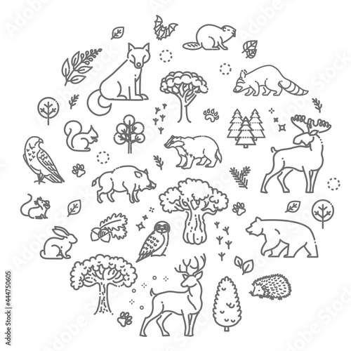 Vector. Set of linear vector forest animals