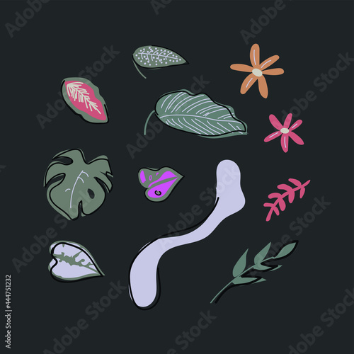 Colorful set of vector, flat illustrations of tropical plants