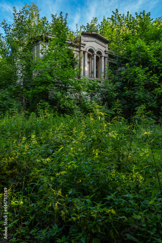 Ruins of an old, abandoned palace overgrown with bushes. Blue sky, green scrub around the object. Photo taken at noon, perfect lighting conditions © Fotoforce