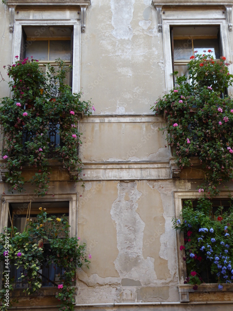 finestre con fiori