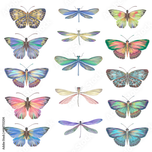 Set of watercolor butterflies and dragonflies. Collection of colorful insects with wings for design, scrapbooking, postcards. Bright butterflies hand-drawn on paper and isolated on a white background © Sergei