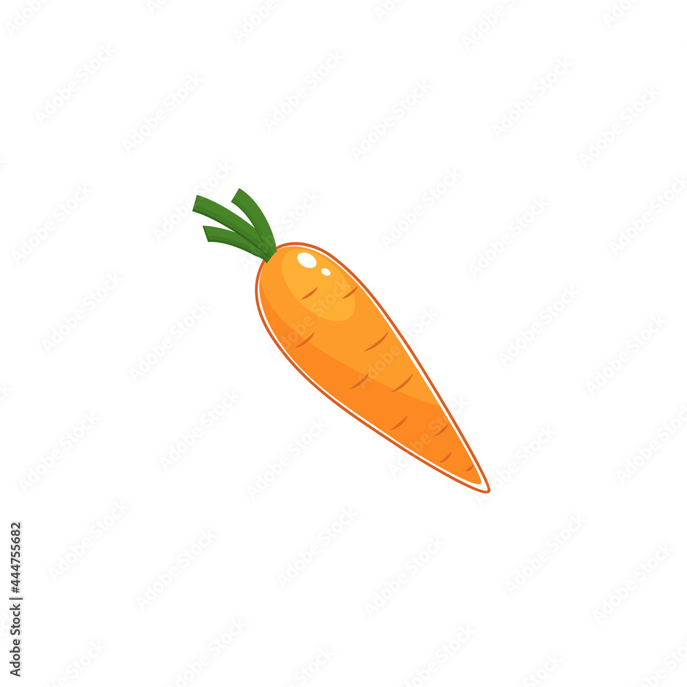 vector carrot (Daucus carota subsp. sativus) isolated on white background vector carrot (Daucus carota subsp. sativus) isolated on white background