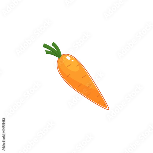 vector carrot (Daucus carota subsp. sativus) isolated on white background