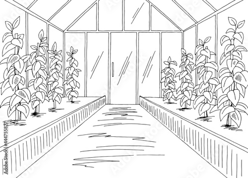 Greenhouse interior graphic black white sketch illustration vector 