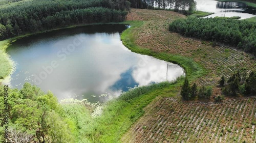 Aerial view. Lake and green forest in Tuchola National Park, Poland. Summer landscape in Europe. Perfect place for relaxing in nature.