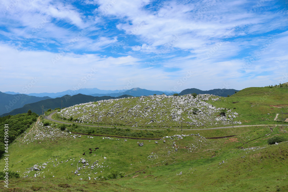 四国カルスト 姫鶴平の風景 四国カルスト 姫鶴平の風景