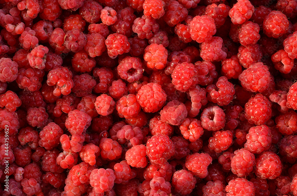 red berries raspberries seamless background red berries raspberries seamless background