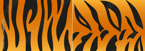Vector illustration set of tiger skin