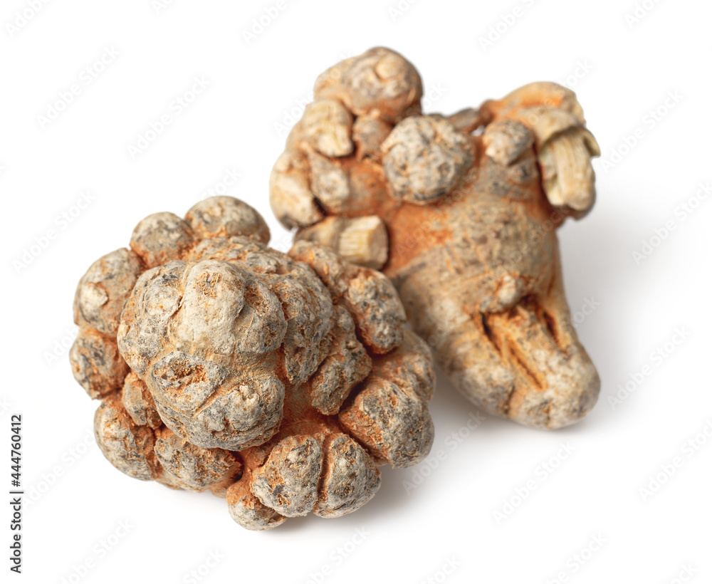 Dried Panax notoginseng roots isolated on white