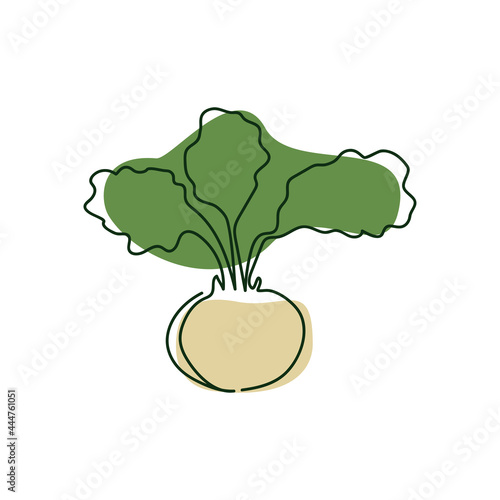 drawn by a solid one line half white kohlrabi with green leaves on a background of abstract spots of green and beige on a white background