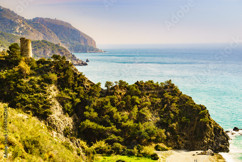 Spanish coast with Pine Tower, Andalusia.