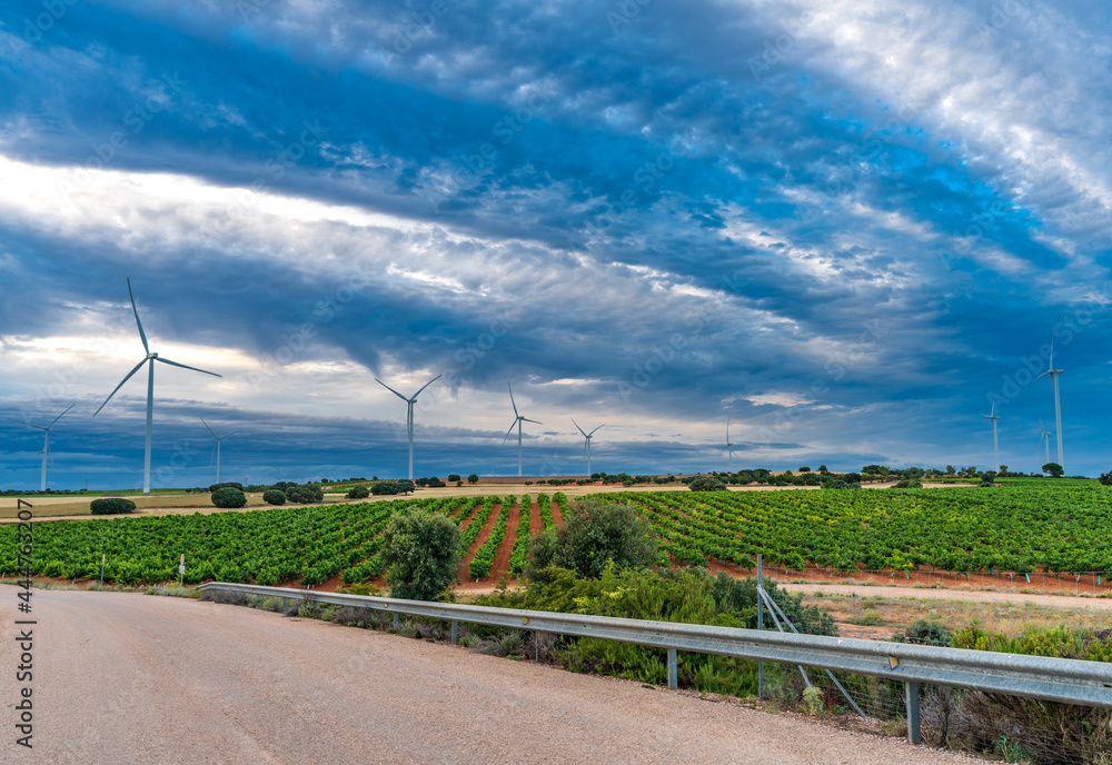 Road, windmills, vineyards and cloudscape at dusk Road, windmills, vineyards and cloudscape at dusk