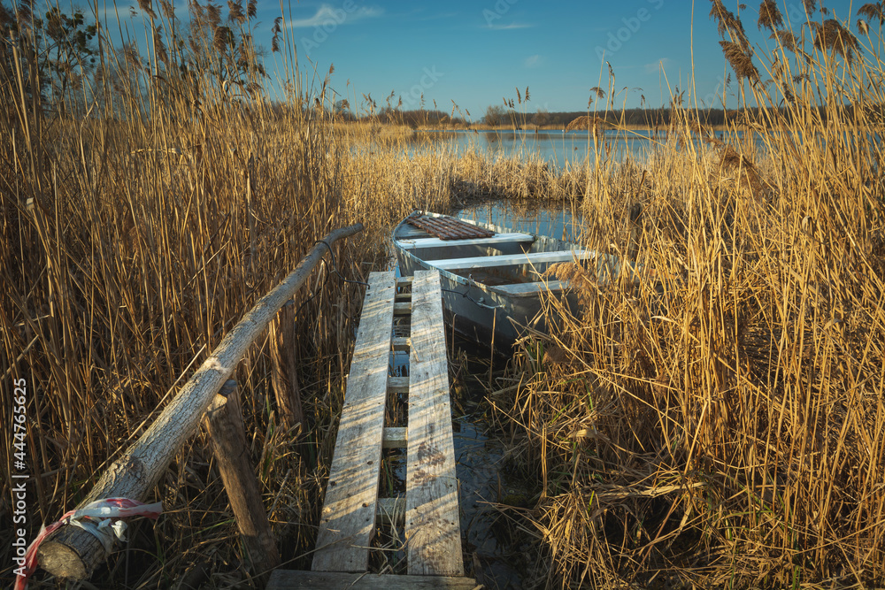 A wooden footbridge in the reeds and a fishing boat A wooden footbridge in the reeds and a fishing boat