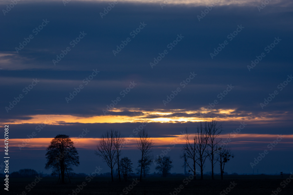Evening clouds and silhouettes of trees on the horizon