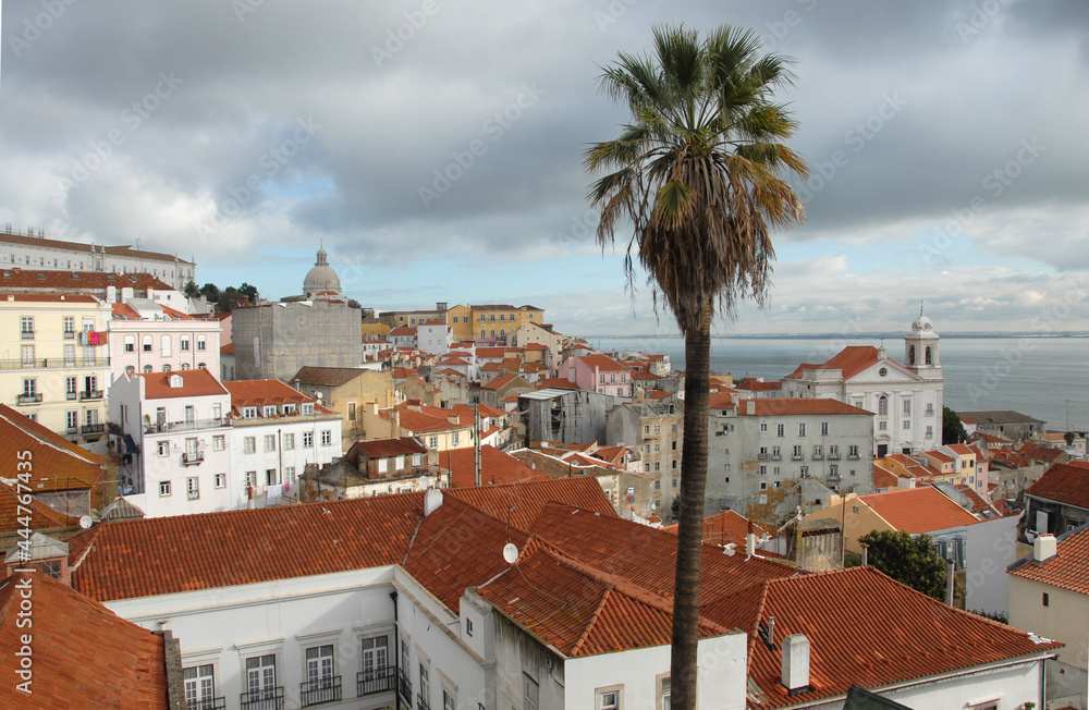 Lisbon is the capital of Portugal. It is a beautiful city full of charm. The Estrela district is ancient and colorful with its red roofs. The Estrela Basilica is a great example of Portuguese Baroque 