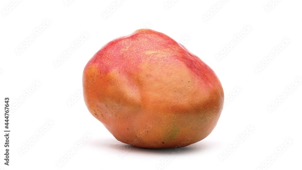 Closeup of one mango is rotating on the turntable. Isolated on white background. Closeup of one mango is rotating on the turntable. Isolated on white background.