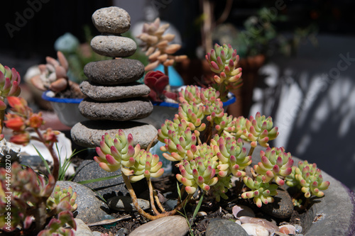 Canvas Print zen basalt pebble stone pyramid and succulent plants