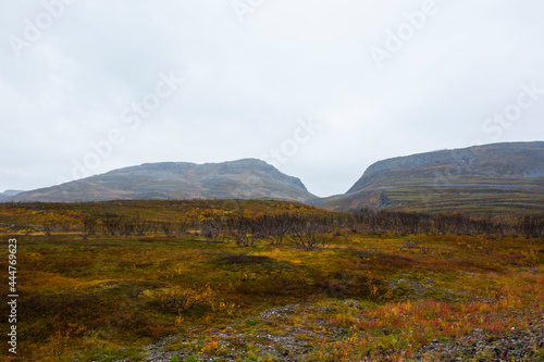 Autumn landscape in tundra  northern Norway. Europe
