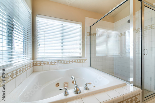Drop in bathtub beside the glass shower stall against the windows