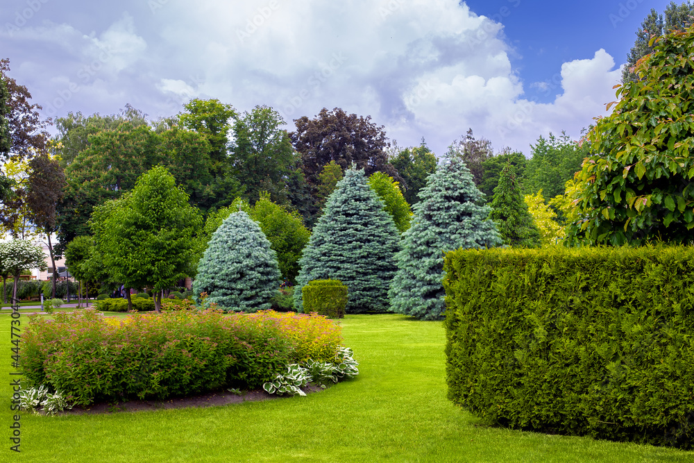 landscaping of a park with a garden bed and deciduous trees with leaves and pine needles on a green lawn, evergreen and seasonal plants in the backyard.