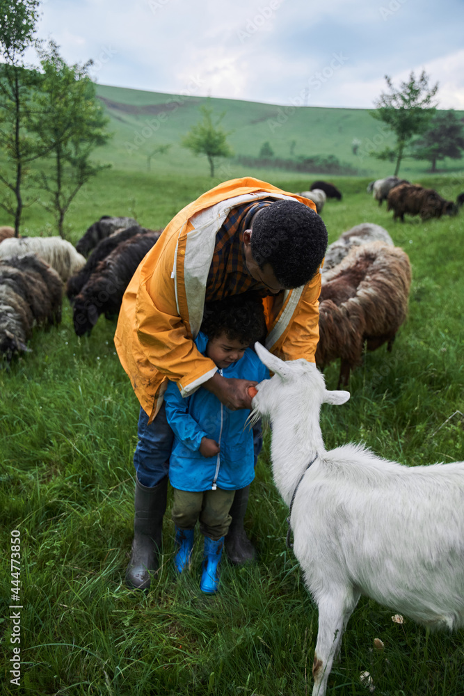 Boy holding carrot and giving it to the goat while spending time with his father Boy holding carrot and giving it to the goat while spending time with his father