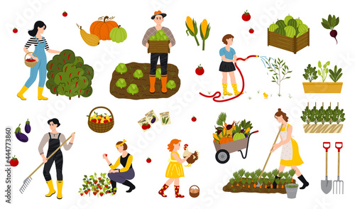 Local organic production set. Agricultural workers planting and gathering crop. Garden, farm and agriculture. Drawings for a card, poster or postcard