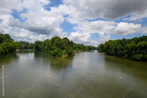 river in the forest