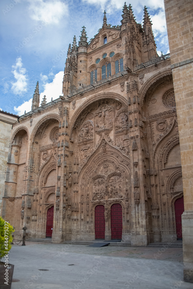 Amazing detail view at the gothic ornaments facade building at the Salamanca cathedral, main entrance doors
