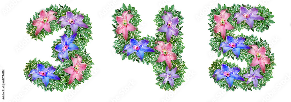 The numbers 3, 4, 5 are made of Clematis colors The numbers 3, 4, 5 are made of Clematis colors