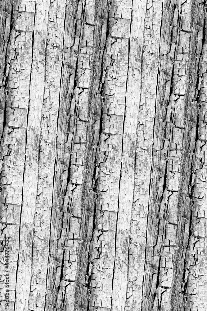 Obraz premium pattern texture structure backdrop wallpaper