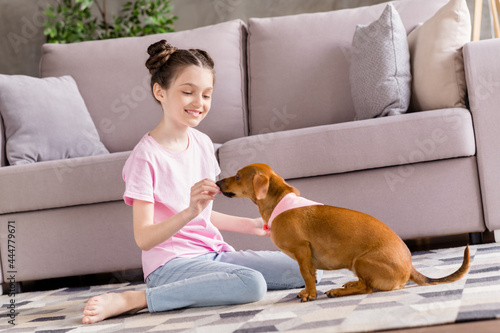 Portrait of attractive cheerful careful preteen girl playing with doggy feeding puppy rest at light home house flat indoors