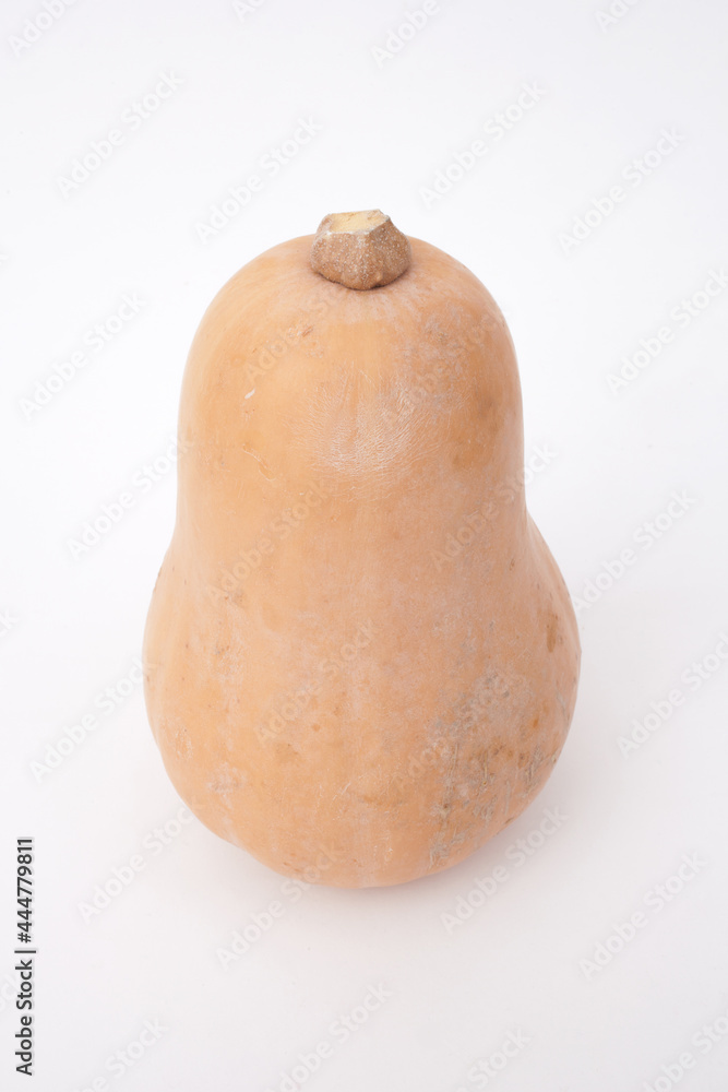 A Butternut Squash Photographed against a white background