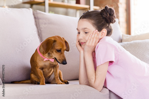 Portrait of attractive cheery preteen girl playing with doggy sitting on cozy divan at light home house flat indoors