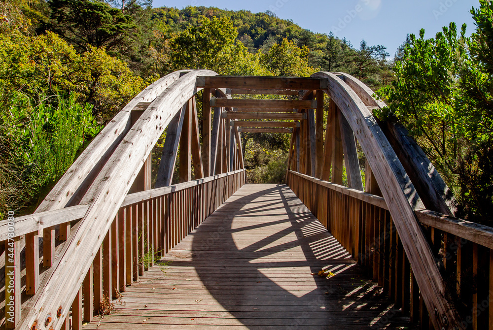 Wooden footbridge in the forest