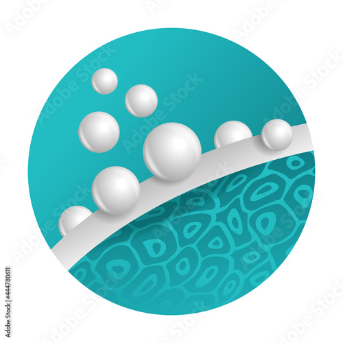 Collagen making protective and moisturizing layer