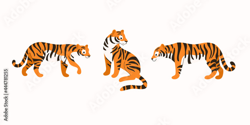 Tiger icon set. Different type of wild cat. Vector illustration for prints  clothing  packaging  stickers.