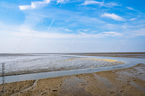 Small rivers floating through the mudflat of the north sea at sahlenburg  cuxhaven