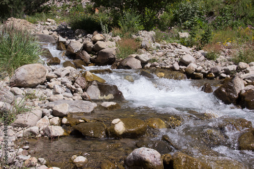 stream in the forest