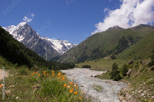 landscape in the mountains