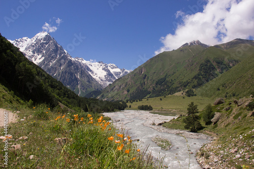 landscape with lake