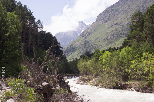 river in the mountains