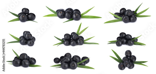 Set with acai berries on white background. Banner design