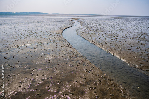 Foto Small river floating through the mudflat of the north sea at sahlenburg, cuxhave