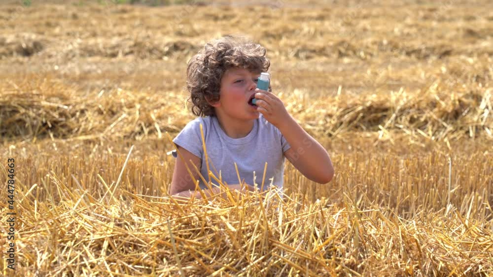 Little European caucasian children has allergies from flower pollen in freshly cut wheat field, boy has running nose in flower field and wipe his nose by tissue paper Little European caucasian children has allergies from flower pollen in freshly cut wheat field, boy has running nose in flower field and wipe his nose by tissue paper